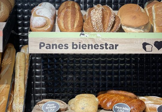 FOTO PANES BIENESTAR